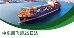 中東部飛起25日達